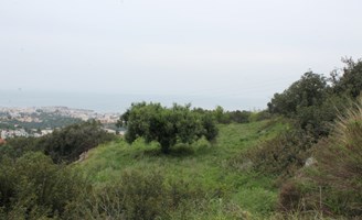 Земельна ділянка 2000 m² на Криті