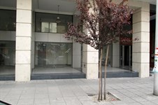 Property 3706 photo 1