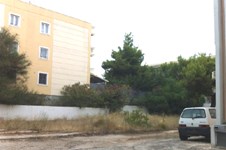 Property 37060 photo 5