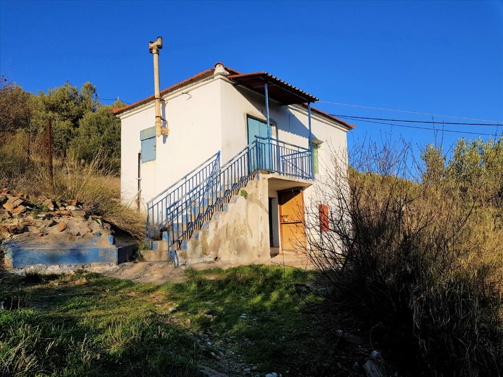 For Sale Detached House 80 M In Sithonia Chalkidiki Greece Buy Purchase Cottages In Europe 80 Price Property Prices Abroad Overseas Grekodom Development