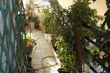 Property 371 photo 10