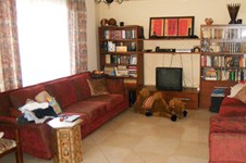 Property 371 photo 12
