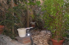 Property 371 photo 18