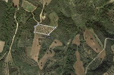 Property 37118 photo 1