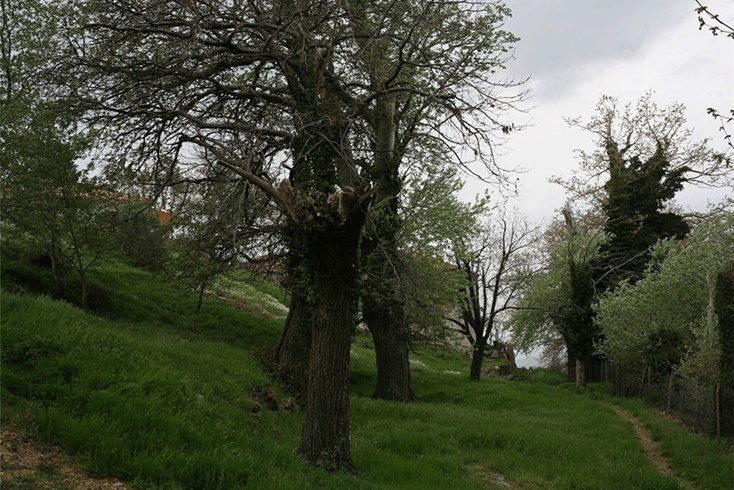 Realty photo 3