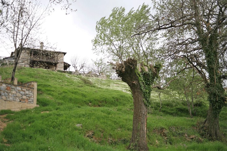 Realty photo 2