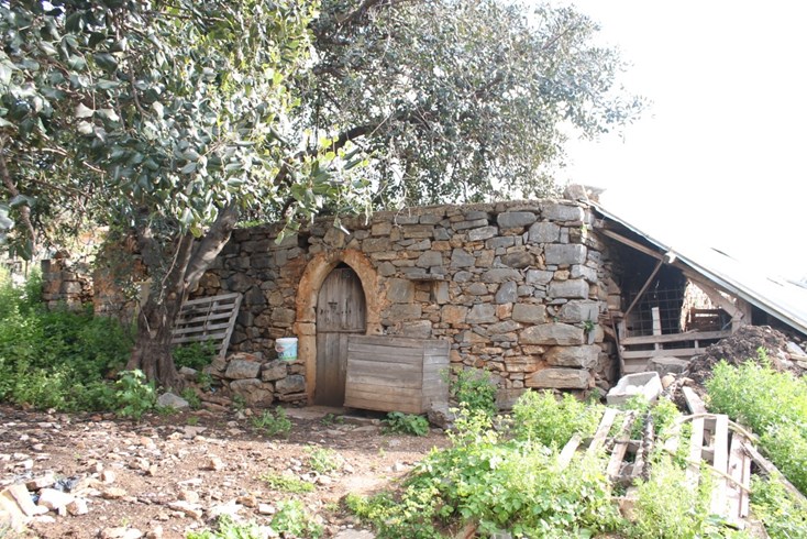 Realty photo 1