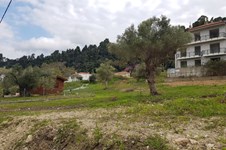 Property 37148 photo 6