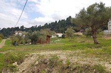 Property 37148 photo 5