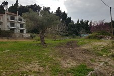 Property 37148 photo 4