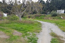 Property 37148 photo 10
