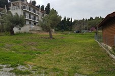 Property 37148 photo 3