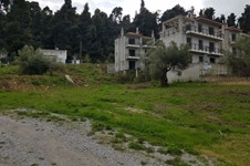 Property 37148 photo 9