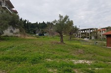 Property 37148 photo 1