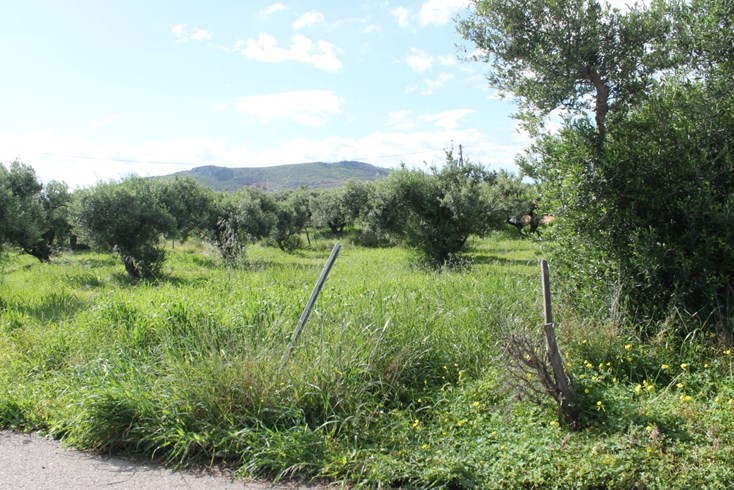 Realty photo 1