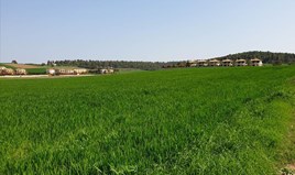 Land 11000 m² in Kassandra, Chalkidiki