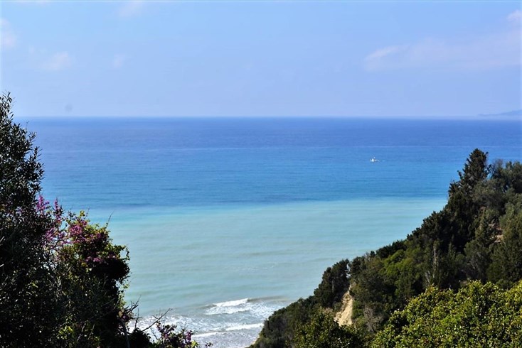 Realty photo 2
