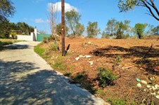 Property 37189 photo 4
