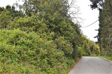 Property 37190 photo 10