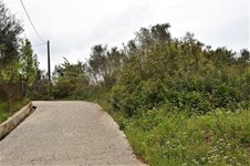 Property 37190 photo 11