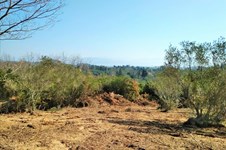 Property 37190 photo 1
