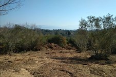 Property 37190 photo 2