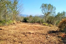 Property 37190 photo 5