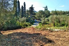 Property 37190 photo 3