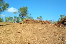 Property 37190 photo 7