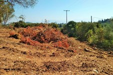Property 37190 photo 8
