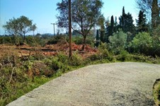 Property 37192 photo 3