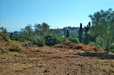 Property 37192 photo 4
