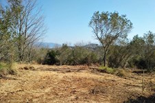 Property 37192 photo 5