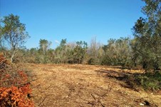 Property 37192 photo 6