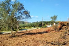 Property 37192 photo 8