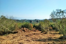 Property 37192 photo 7