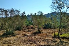 Property 37192 photo 1