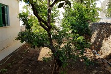 Property 37208 photo 7
