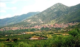 Land 5500 m² in Chalkidiki