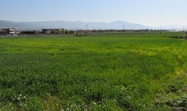 Land 5600 m² in den Vororten von Thessaloniki