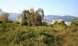 Land 1250 m² on the island of Thassos