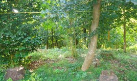 Парцел 7500 m² в Волос- Пилио