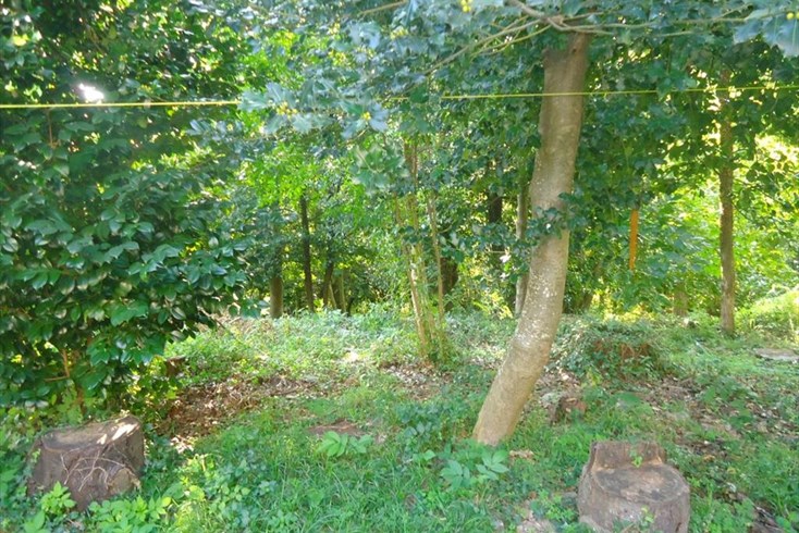 Realty photo 1
