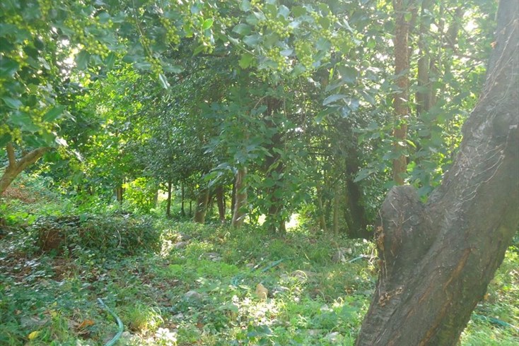 Realty photo 2
