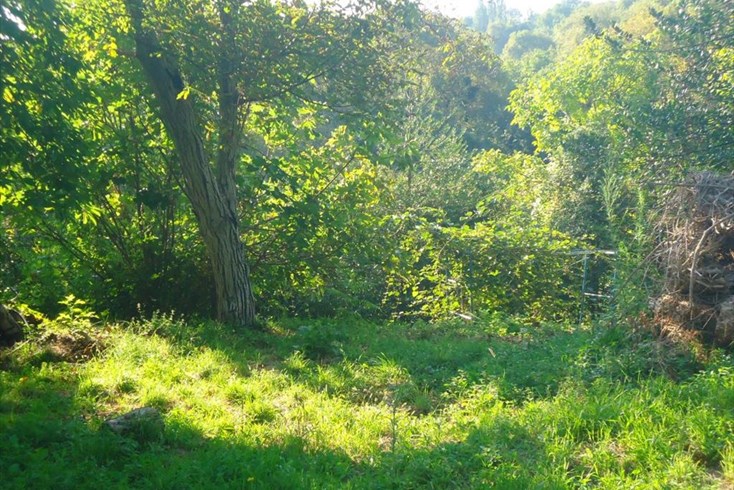 Realty photo 3