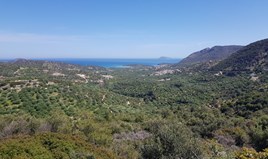 Land 8500 m² in Crete