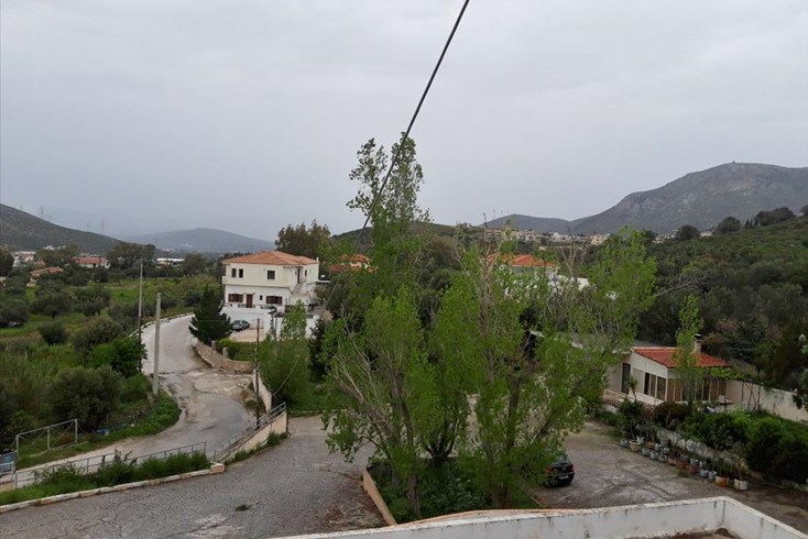Realty photo 2