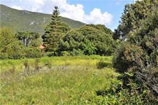 Property 37267 photo 5