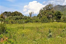 Property 37267 photo 6