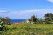 Property 37267 photo 3